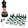 بازی شطرنج شاه استاندارد