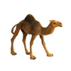 فیگور شتر