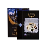 بازی بومزی(Eco-Links) هوپا