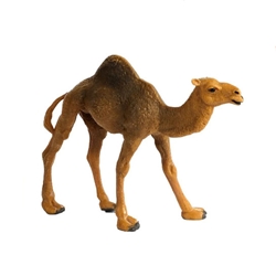 فیگور شتر